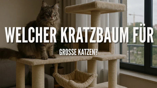 Große Maine Coon Katze sitzt auf einem hohen beige Kratzbaum mit mehreren Ebenen und Sisalstämmen in einem modernen Wohnzimmer mit natürlichem Licht und grünen Pflanzen.