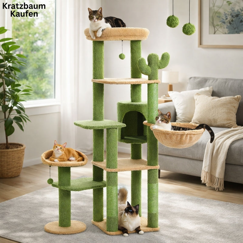 Kratzbaum Kaktus | Kratzbaum Kaufen