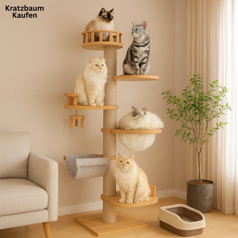 XXL Kratzbaum aus natürlichem Holz vom Boden bis zur Decke mit Hängematte,  Geeignet für große Katzen, Maine Coon - Modell: 
