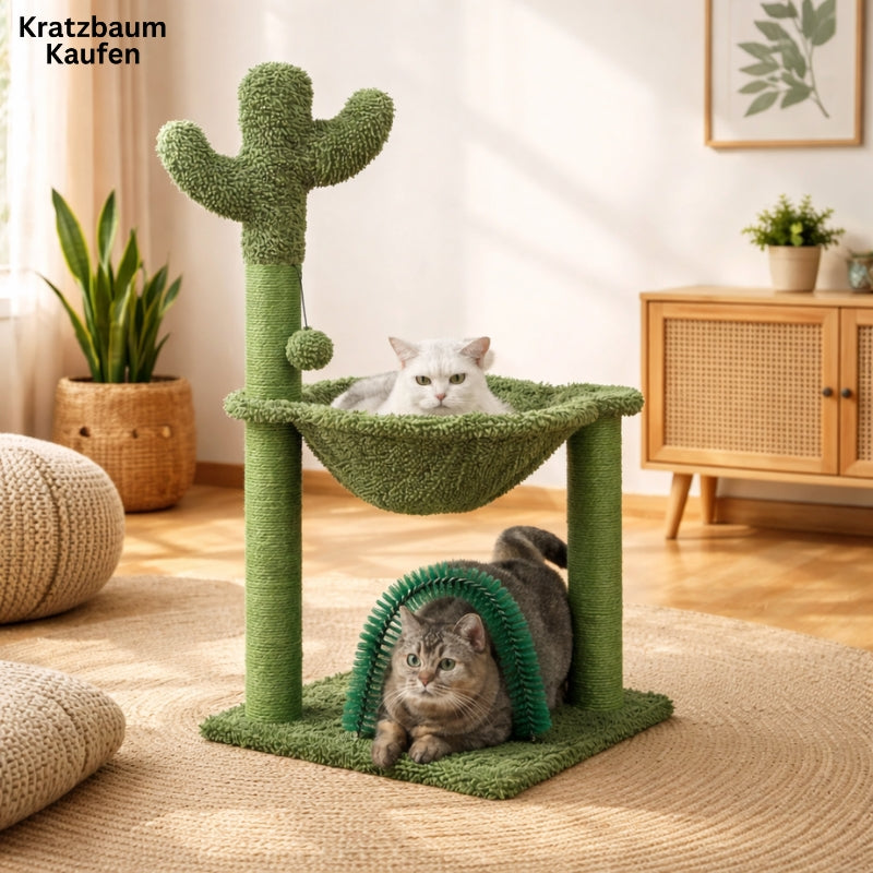 Kratzbaum Kaktus | Kratzbaum Kaufen