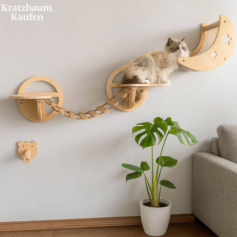 Wand-Katzenbaum - Haus, Hängematte, hängende Brücke, Sitzstange -  Kollektion: Katzenhimmel