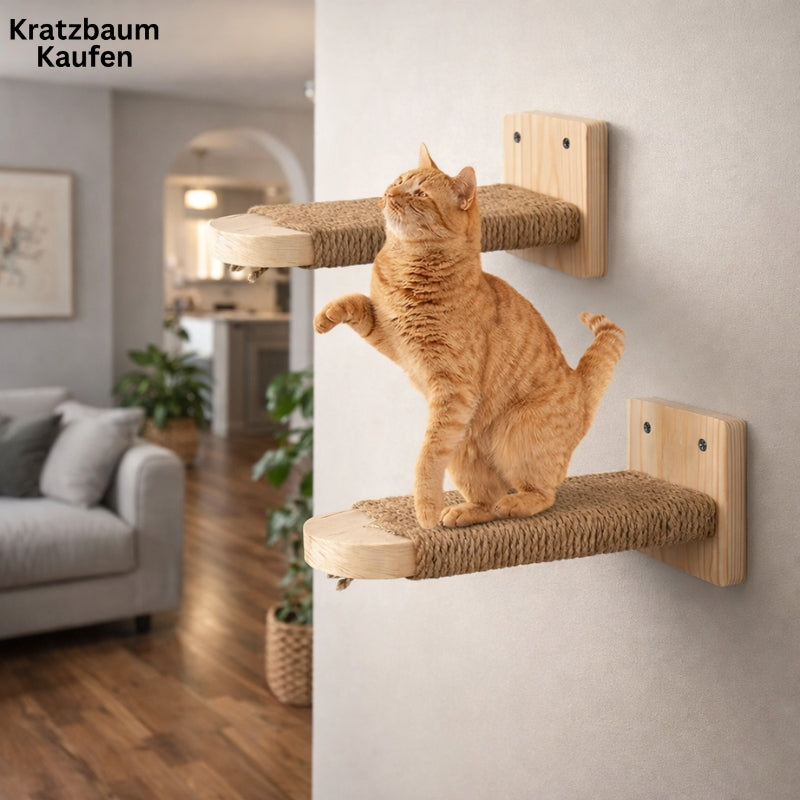 Wandtreppe - Kratzbaum | Kratzbaum Kaufen